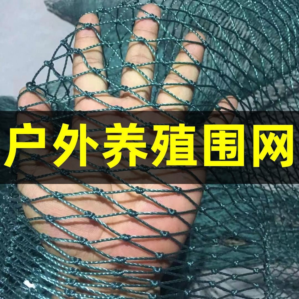 【下殺】△✤養雞網養殖網尼龍網攔雞網圍雞網家禽塑膠網護欄網菜園圍網防護網