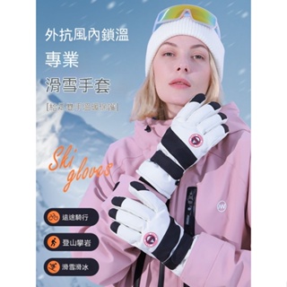【安定出貨】單雙板滑雪手套 加厚防水保暖男女 戶外登山五指分指手套 機車防風手套 騎車手套