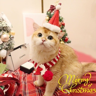 🔥優選🔥寵物過年圣誕節裝飾衣服圍兜狗狗圍巾貓咪新年帽子泰迪圍脖小型犬