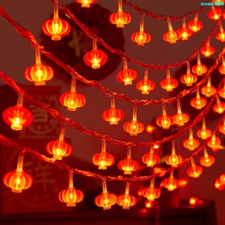 【燈串】led小彩燈閃燈串燈滿天星春節裝飾掛件家用過年紅燈籠新年裝飾燈