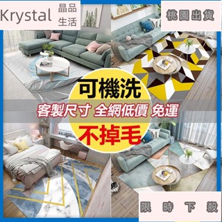 全館免運客製化 北歐地毯 珊瑚絨大地毯 法蘭絨地墊 客廳臥室房間家居沙發短毛大地墊大地毯 輕奢北歐風長地墊長地