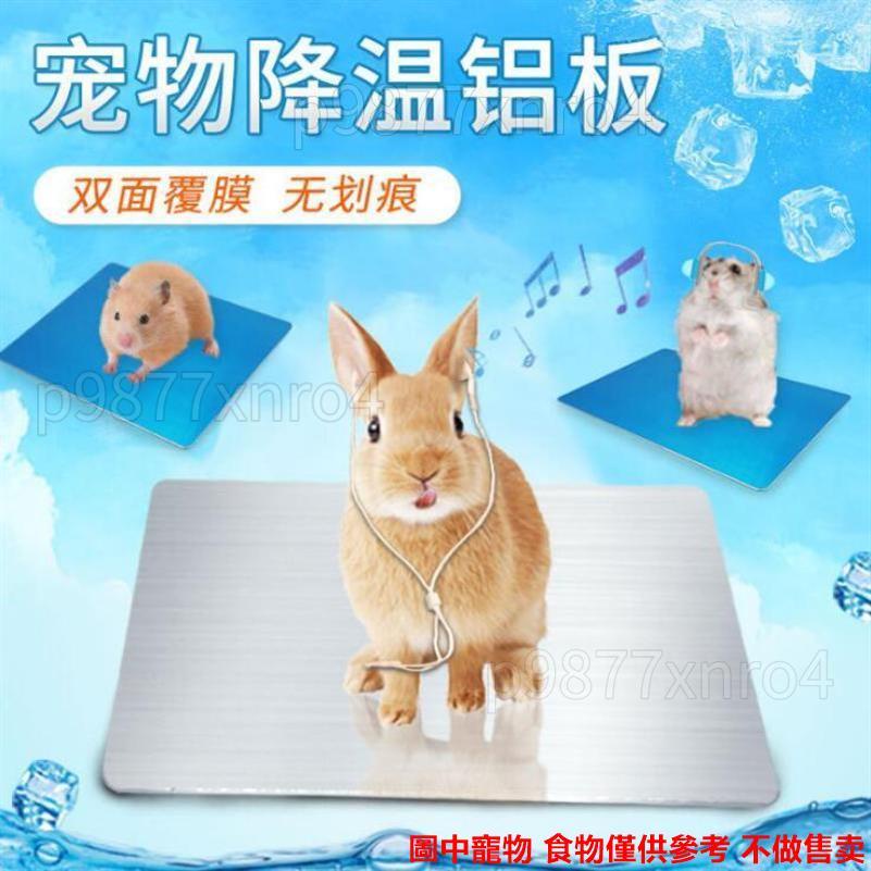 倉鼠冰墊 寵物夏季降溫板鋁板 兔子倉鼠龍貓冰墊散熱板涼蓆片夏天消暑用品✻☽✧新款618618