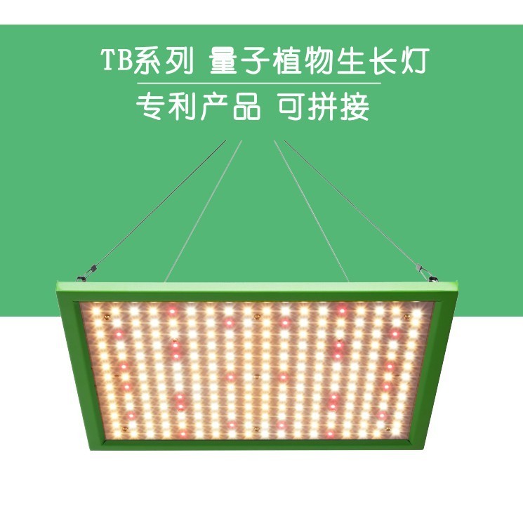 【可拼接量子板】大功率LED量子板物生長燈 全光譜溫室帳篷物燈 DIY可自由拼裝可串聯 三星+明緯