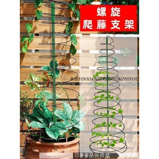 上新免運 植物支撐螺旋架 植物可伸縮蔓藤植物爬藤架 綠蘿支撐桿 室外攀爬固定