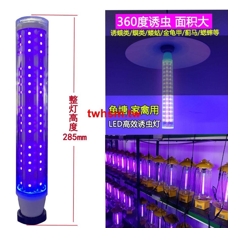 💥熱銷💥高效LED紫光誘蟲燈365-420nm太陽能誘蟲燈管燈泡12V
