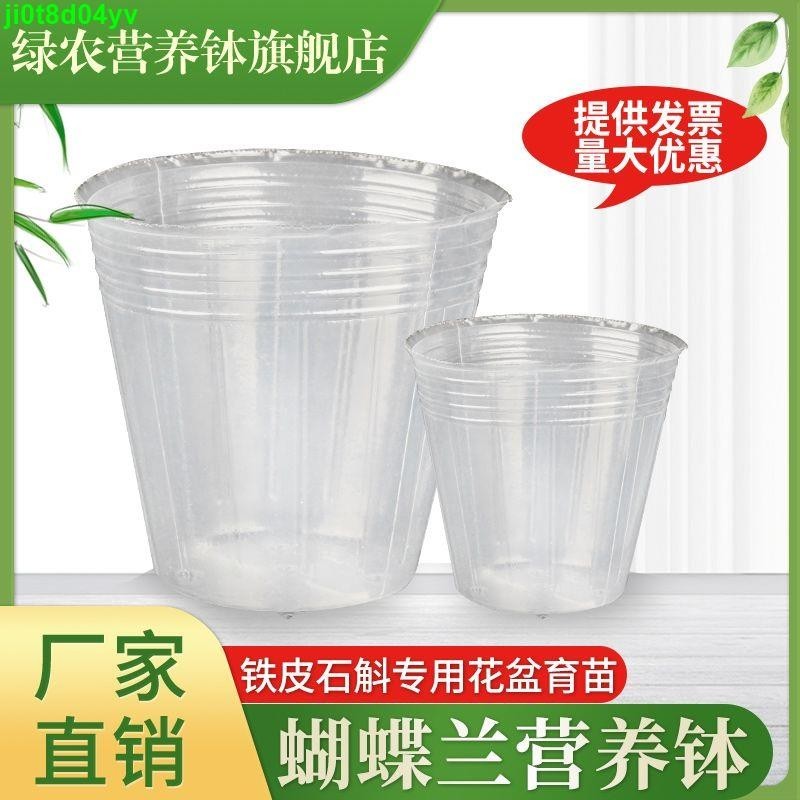 蝴蝶蘭營養缽蘭花石斛播種育苗盆透明育苗杯白色營養杯塑料營養缽
