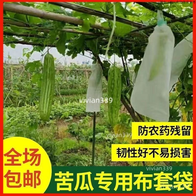 ✨高品质✨網 網袋 水果套袋 水果網袋 果蠅 防鳥網 芭樂套袋 網罩 水蜜桃套袋 草莓套袋 vi