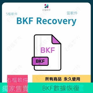 【專業軟體】BKF Recovery for Win Exchange BKF文件恢復Exchange EDB文件