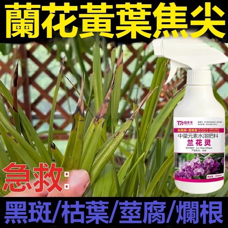 蘭靈王 蘭花專用 營養液肥料 EM菌 君子蘭科 蝴蝶蘭 墨蘭 促活化劑 陵正牌