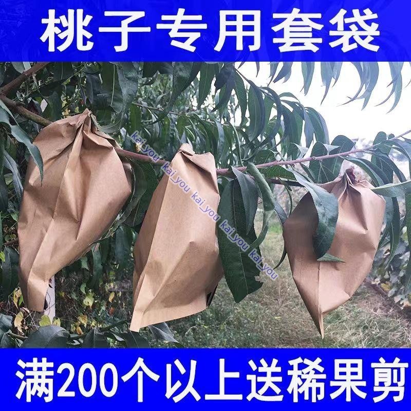 新品 上新 防蟲防雨水桃袋 桃子套袋專用袋 黃桃袋 桃子紙袋 黃桃水蜜桃蟠桃紙袋 kai_you