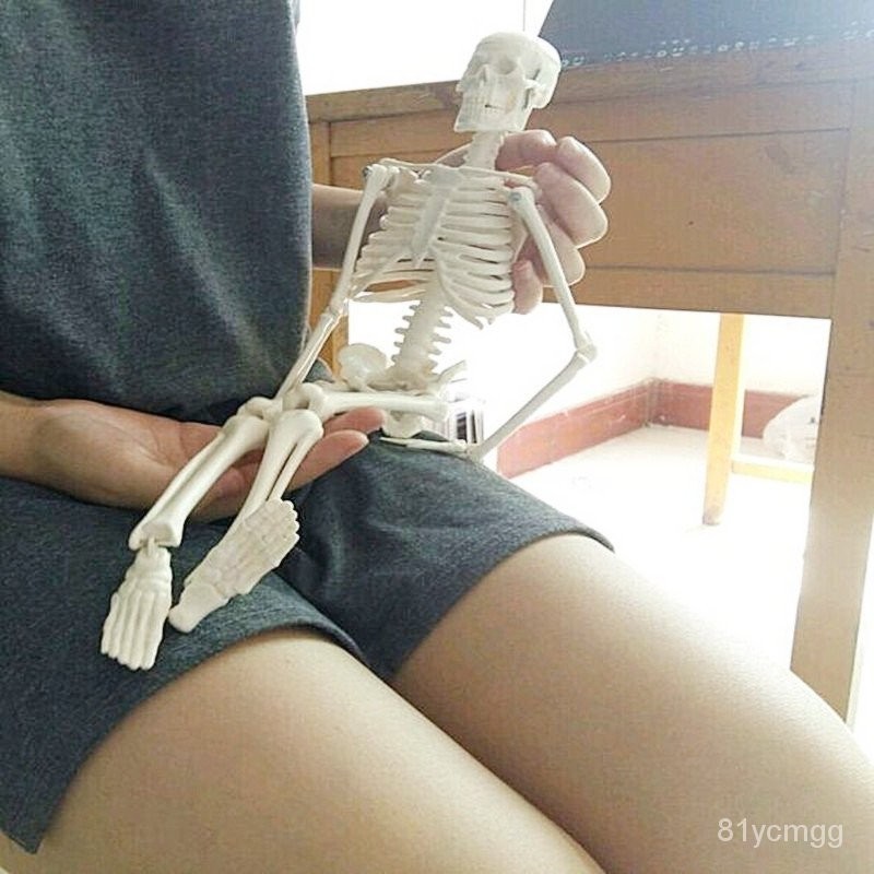 店長推薦🔥人體骨骼模型45 85CM骨架模型 人體脊柱模型脊椎模型骨骼骷髏 JNYK