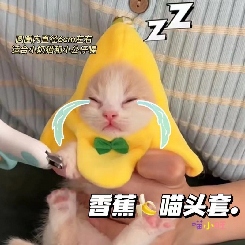 【貓咪香蕉頭套】高顔值新品🔥網紅INS超可愛 mini香蕉貓頭套 可愛小奶貓帽子 擺拍道具 毛絨玩具 小貓玩偶頭套裝飾