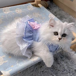 🐶新款寵物衣服貓咪裙子衣服夏季薄款可愛公主裙背心布偶泰迪幼貓小型犬寵物衣服