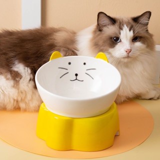 台灣出貨🌞日式陶瓷貓碗防打翻保護頸椎加高斜口大號貓咪食盆飯碗寵物碗狗碗