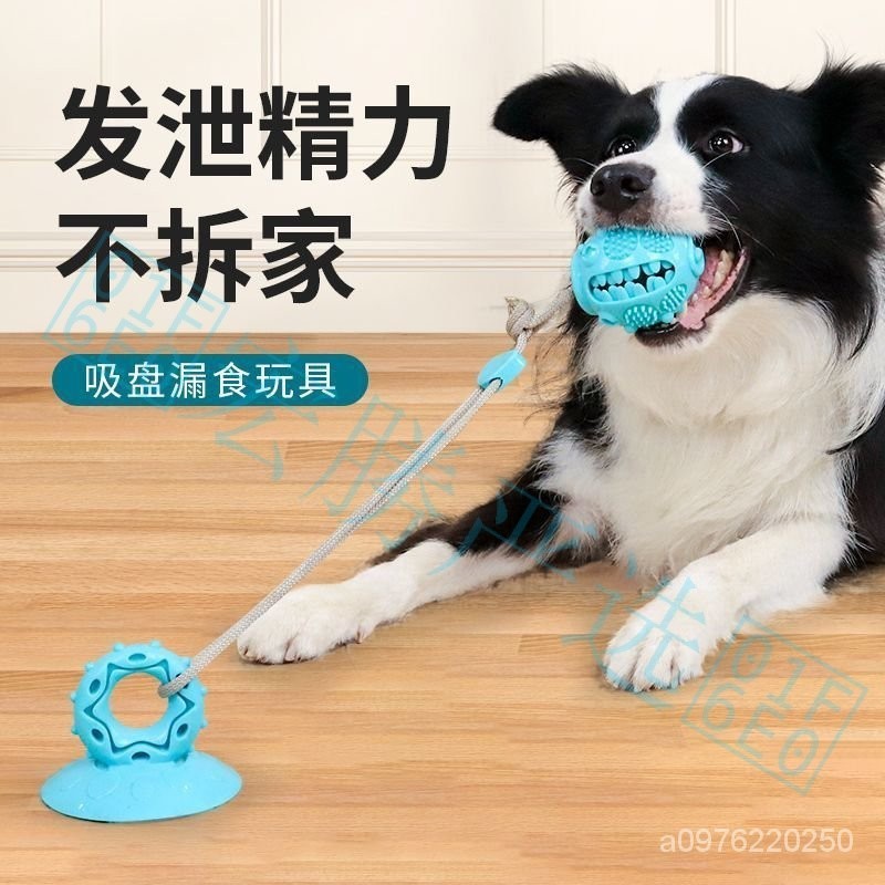 ✨精品熱賣✨[可開票]狗狗玩具磨牙拉力吸盤玩具 耐咬乳膠幼犬大型犬寵物玩具漏食玩具球🛠宏勝嚴選🛠