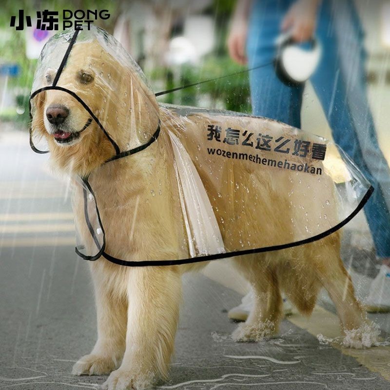 🐱寵物雨衣🐶 寵物外出服 狗狗透明雨衣 服防水全包金毛拉布拉多中型大型犬薩摩邊牧寵物雨披