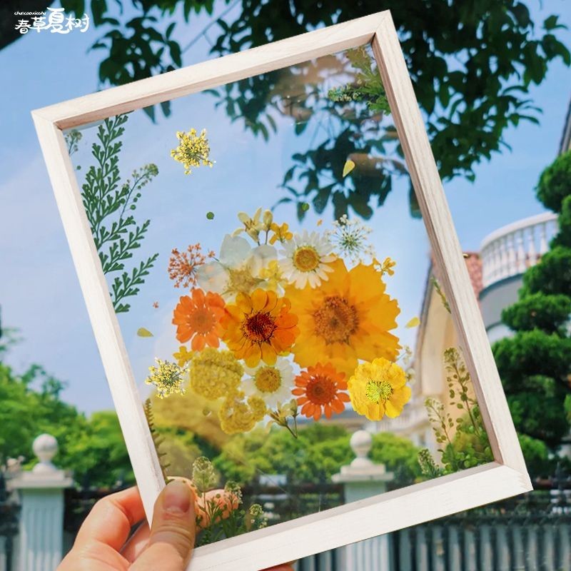 【臺灣-出貨】DIY乾燥花乾花植物標本框diy壓花相框手工製作材料包透明玻璃裝飾品繪畫框