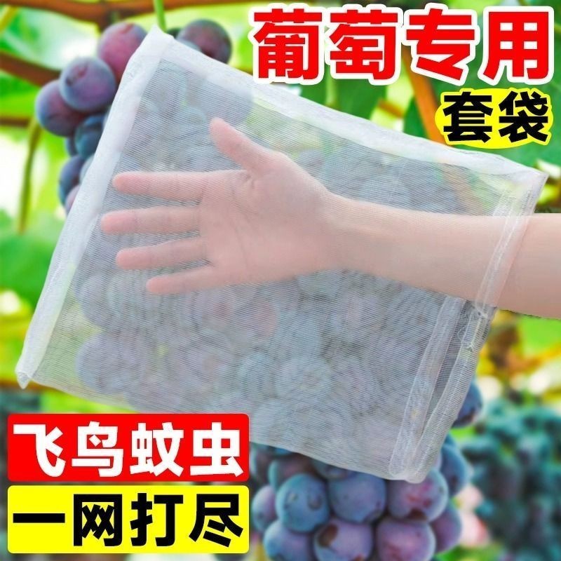 尼龍網袋葡萄套袋專用袋子防鳥網防蟲水果防蟲網袋草莓無花果透氣8QS6