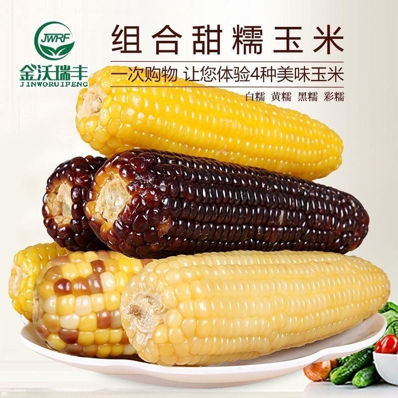 溫馨百貨 🌹🌹玉米玉米棒真空包裝代餐新鮮現摘東北玉米加熱卽食非轉基因兒童五穀粗雜糧玉米粒