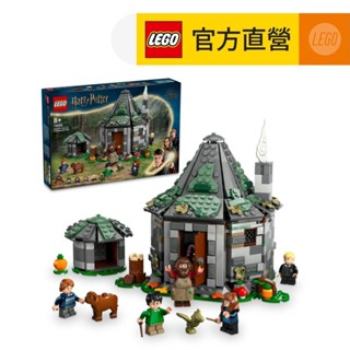 【LEGO樂高】哈利波特系列  76428 探訪海格小屋(霍格華茲畫像)