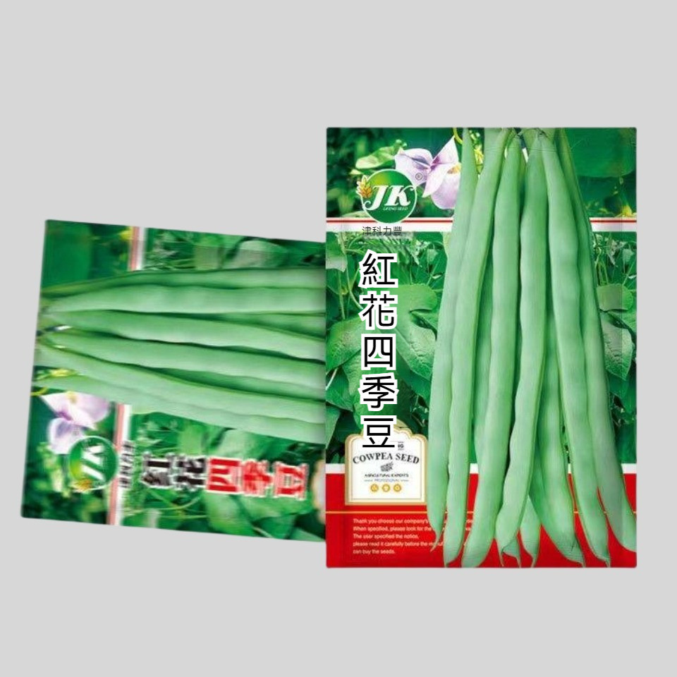 🔥買2送一🔥A87 豆角種子 紅花四季豆種子 一袋10g約28粒 蔬菜種子 原廠包裝 對版出貨 發芽率高95%