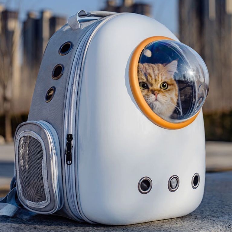 寵物太空包 超大外出包寵物 貓咪太空包 貓咪太空艙 貓包外出便攜大容量雙肩背包太空艙透氣寵物貓咪外帶書包籠子用品