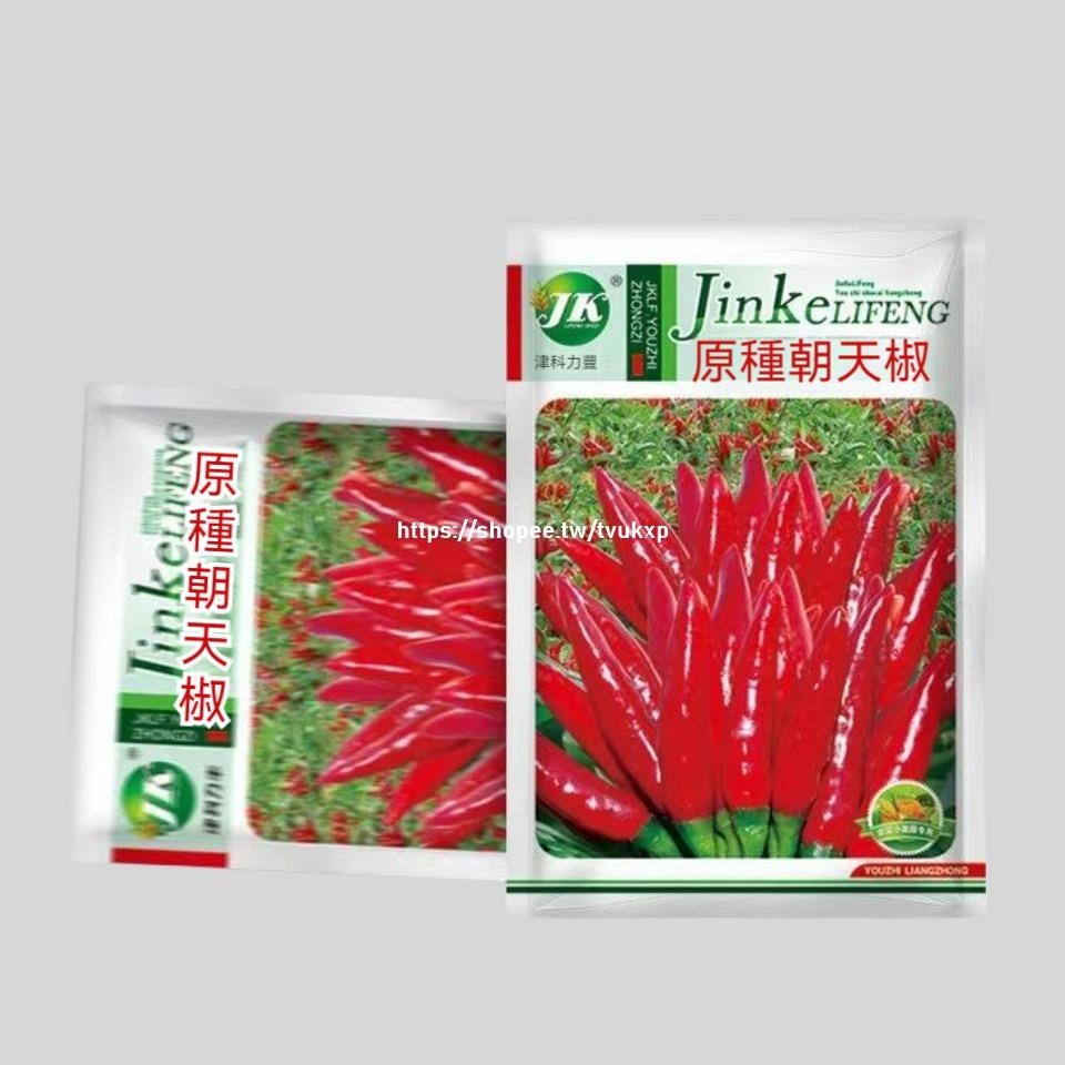 🔥（原種朝天椒種子）A51 辣椒種子 一袋5g約500粒 蔬菜種子 原廠包裝 對版出貨 發芽率高95%