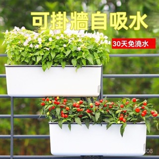 🔥臺灣熱賣 🔥傢庭陽臺種菜盆自吸水種花專用盆蔬菜種植箱傢用花盆懶人種菜神器 折疊梯