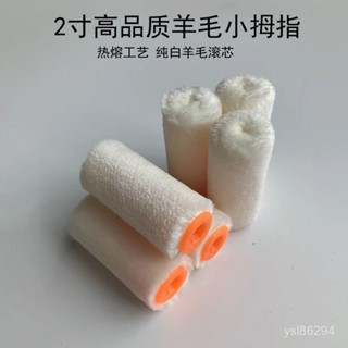 🔥臺灣出貨🔥2寸滾筒刷熱熔小拇指滾芯長毛棉綫短羊毛油漆塗料修補塗裝工具hhfoof
