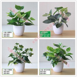 新竹出貨♕仿真植物 綠植擺件 盆栽裝飾品 客廳盆栽 室內盆景大盆家居裝飾 模擬綠蘿盆栽 綠植裝飾