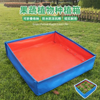 園藝用品🟡種菜神器 淋膜種植箱 家庭陽臺田園蔬菜盆 植物種植盆 方形種菜盆 花盆