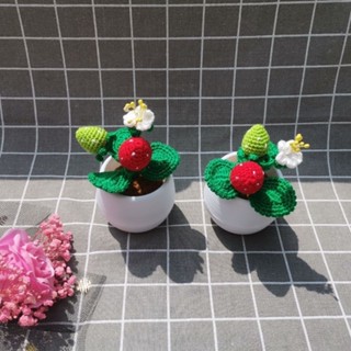 *成品發貨*成品鉤針編織仿真植物草莓盆栽毛線花節日禮物