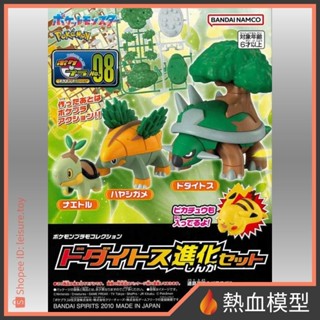 [熱血模型] BANDAI 萬代 組裝模型 寶可夢 008 土臺龜 進化套組