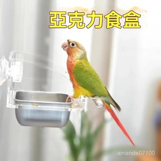 ✨鸚鵡防潑灑飼料食盒 鸚鵡食杯 鸚鵡自動餵食器 寵物自動餵食器 鵪鶉飼料盒 寵物食碗 飼料盒 鵪鶉 飼料盒 盧丁雞 鸚