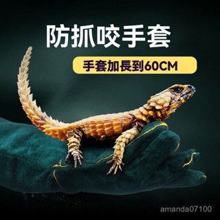 ✨【訓練寵物神器】爬蟲防咬手套 雙層牛皮手套 鸚鵡防咬手套 防咬手套 防咬防抓手套 安全手套 牛皮防咬手套 訓狗手套