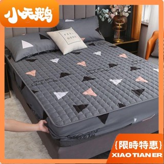 【小天鵝】🔺防滑抑菌🔻鋪床床包 夾棉床笠 單人床包 夾棉加厚床套 純棉床包組 吸濕排汗 雙人床包 雙人特大床包 吸