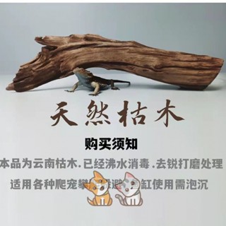 免運 造景木 攀爬木 天然造景木 流木枯木 魚缸草缸生態造景木 爬寵攀爬木 雨林造景 天然枯木 魚缸沉木 造景裝飾爬寵