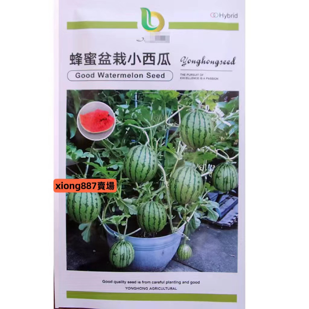 種子💋花大媽種子 💋蜂蜜盆栽小西瓜種子 菜園室內可四季盆栽皮薄甜脆紅壤小西瓜籽 西瓜種子