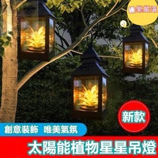 臺灣出貨 新款太陽能植物星空燈創意氣氛燈太陽能星星掛燈許願燈庭院景觀燈花園別墅佈置燈太陽能草坪燈氣氛燈戶外防水
