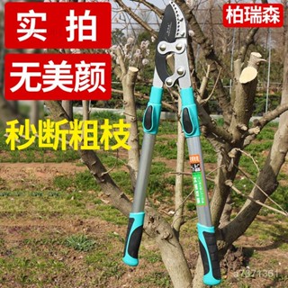 🎀【限時下殺】修剪樹枝園林果樹剪刀 修枝剪高粗枝剪 大力剪 省力伸縮園藝工具剪子 園藝剪刀 園藝工具 剪樹枝 樹枝剪TD