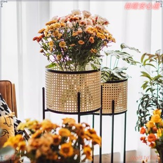 園藝花架 客廳花架 陽臺花架 實木花架 花盆架 多肉植物架盆栽架 極簡約日係鐵藝室內花架仿藤編現代客廳移動設計陽臺花盆架