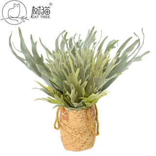 🔥福寶優選樹貓模擬多肉植物盆栽大號鹿角蕨葉人造綠植假花植物墻裝飾鹿角草