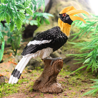 🥂模擬動物🥂兒童認知模擬鳥動物模型家居擺件實心站木犀鳥巨嘴鳥鸚鵡玩具