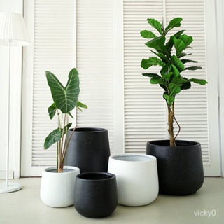北歐簡約水泥花盆 黑色客廳落地圓形盆栽盆器 創意白色種樹盆