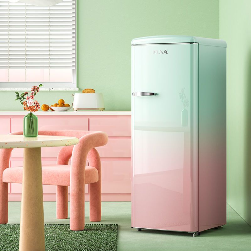 【下單咨詢客服】EUNA/優諾 復古冰箱單門冷藏冷凍家用大容量網紅高顏值一級能效