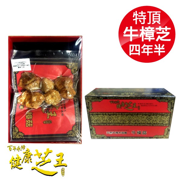 百年永續健康芝王 (四年半乾燥) 特頂大球菇牛樟芝/菇 乾燥品- 11g x1兩 (母親節禮盒 長輩 送禮 伴手禮)