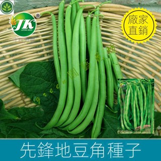 🌱先鋒地豆角種子不搭架蕓豆種籽綠色圓條四季豆盆栽菜園早熟易種 種子 種籽【green園藝花坊】