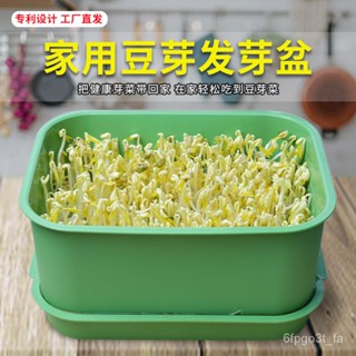 臺灣出🔥【豆芽育苗盆】豆芽機 發豆芽神器 傢用 塑膠 綠豆發豆芽罐 育苗盆 OPVD