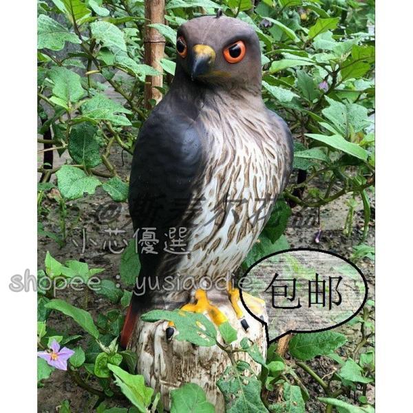 花果園陽臺 櫻桃 桔柚 藍樹 驅鳥 嚇鳥 |小芯af4u| 番茄樹 草莓 熱銷驅鳥神器 仿真老鷹