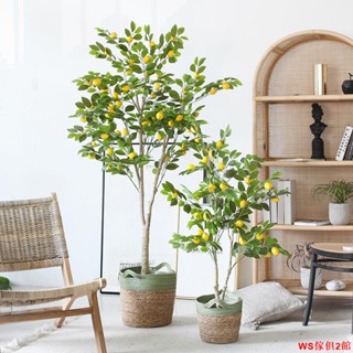 【免運】景天 北歐模擬檸檬樹室內植物盆栽仿生綠植假樹家居造景裝飾擺件WS傢俱館2店